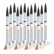 Quest Payloader One™ Classroom Value Pack 12 Rockets - Q5485 Hot on Sale