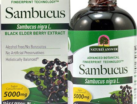 NATURE S ANSWER - Sambucus Original-Black Elder Berry Extract - 4 fl. oz. (120 ml) Fashion